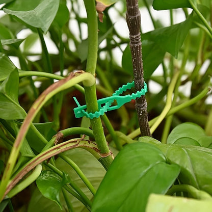 Reusable Adjustable Plastic Plant Cable Ties for Garden Vines, Trees, and Shrubs Support, Locking Nylon Zipper Organizer Tools