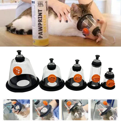 Máscara Respiratória para Animais Kit de Anestesia Animal para Gato Cão Pássaro Cobra Rato com Inalação de Oxigênio Atomização Clínicas Suprimentos Hospitalares