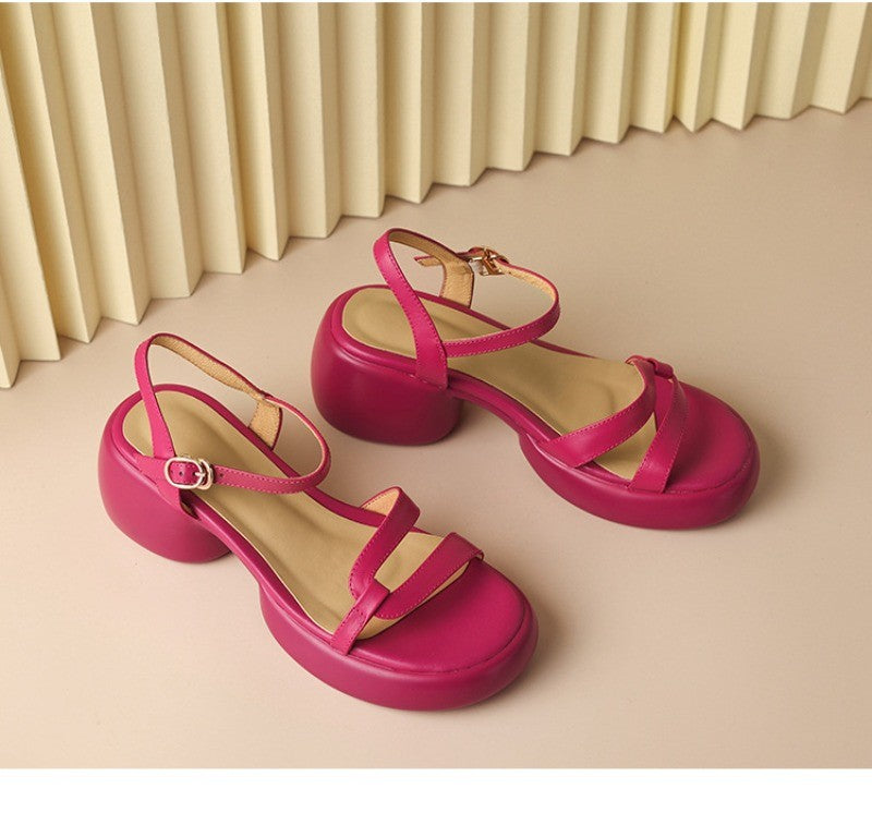 Designer New Women's Sandals 2025 New Fashion High Heels Summer Outdoor Beach Shoes Mary Jane Women Open Toed Thick Heel Sandals