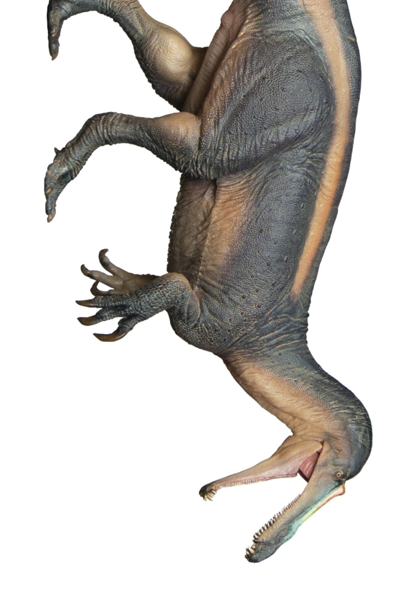 Suchomimus Tabo Dinossauro Rei Modelo de Simulação de Crescimento Companheiro Brinquedo 67 Enfeite de Mesa Portátil Coleção Presentes de Férias
