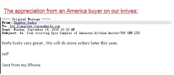 Japanese SKD-11 Damascus Steel Multifunctional Gyuto Chef Kiritsuke Knife With Wood Handle Super Sharp Long Lasting