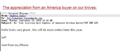 Japanese SKD-11 Damascus Steel Multifunctional Gyuto Chef Kiritsuke Knife With Wood Handle Super Sharp Long Lasting