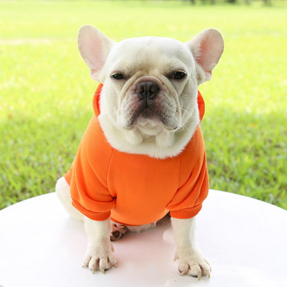 Roupas de Cachorro Fashion Outono e Inverno Roupas para Pequenos Pets Espessamento Quente Cor Sólida Moletom de Duas Pernas com Capuz Produtos Casuais para Pets