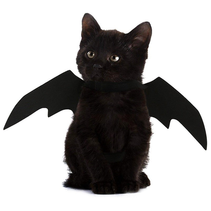 Atacado Fantasia de Cosplay de Gato Fofo Asas de Morcego Cinto de Segurança Role Playing Pet Gato Cachorro Decoração de Festa de Halloween Suprimentos
