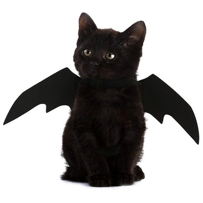 Atacado Fantasia de Cosplay de Gato Fofo Asas de Morcego Cinto de Segurança Role Playing Pet Gato Cachorro Decoração de Festa de Halloween Suprimentos