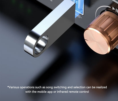 Car Bluetooth-compatible Wireless Audio Adapter 6.0 Audio Receiver U-Disk 6.5MM Karaoke Wireless Music Amplifier for Speaker