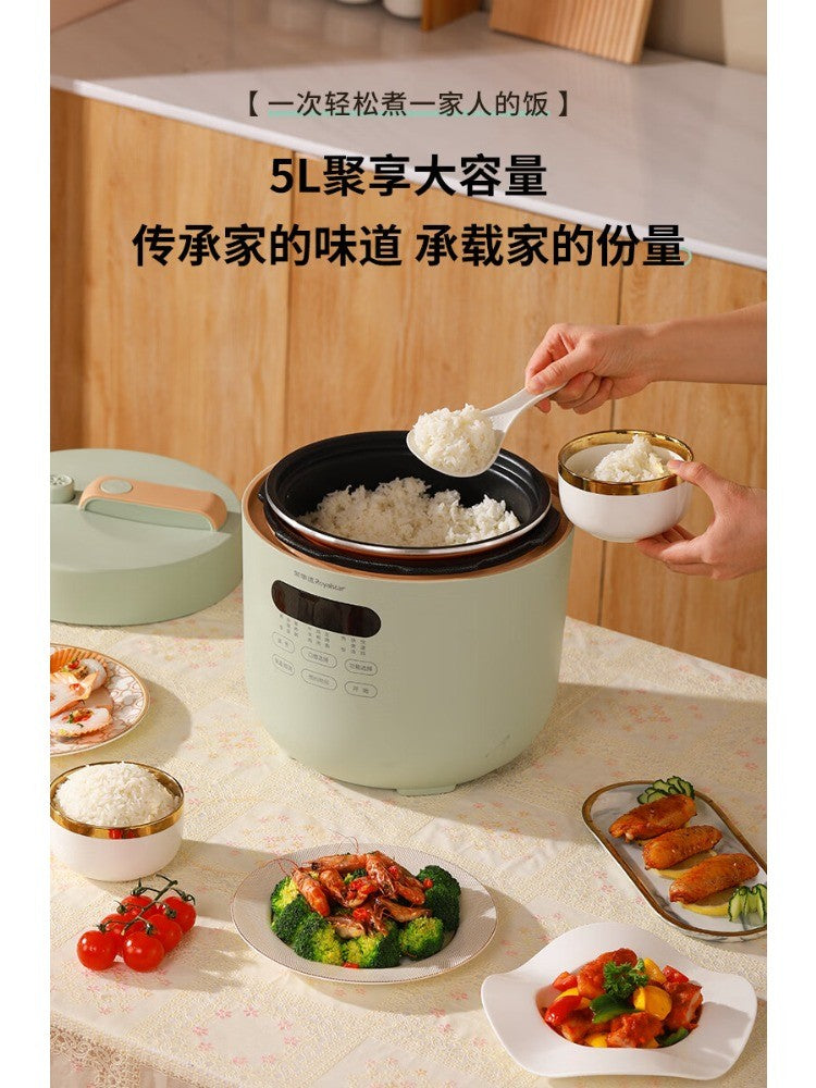 Royalstar Electric Pressure Cooker Household 5L Large Capacity Single and Double Bile Ball Kettle Multi-function Electric Cooker