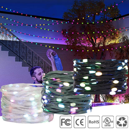 WS2812B LED String WS2812 Addressable Individually RGB Dream Color Christmas Party Birthday Decor Strip Lights IP67 Waterproof