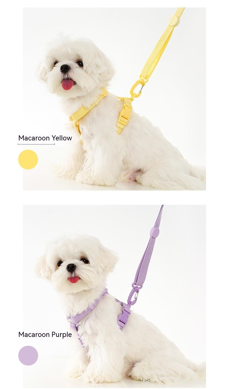 Conjunto de Coleira e Guia Ajustável para Cães Cor Macaron, Acessórios Reflexivos para Cães Pequenos para Filhotes e Gatos, Passeio com Animais de Estimação