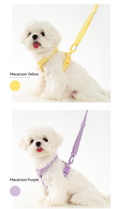 Conjunto de Coleira e Guia Ajustável para Cães Cor Macaron, Acessórios Reflexivos para Cães Pequenos para Filhotes e Gatos, Passeio com Animais de Estimação