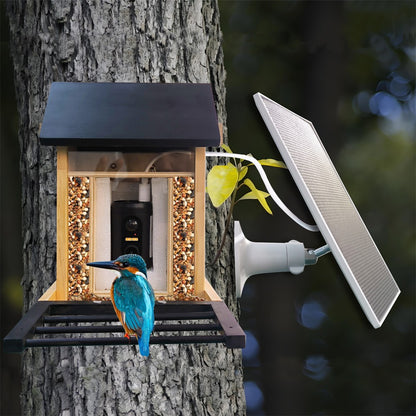 1080P Bird Feeder Camera Built-in Battery Solar Low Power Night Vision Outdoor IP66 Waterproof 2.4G WIFI Camera Connected Feeder