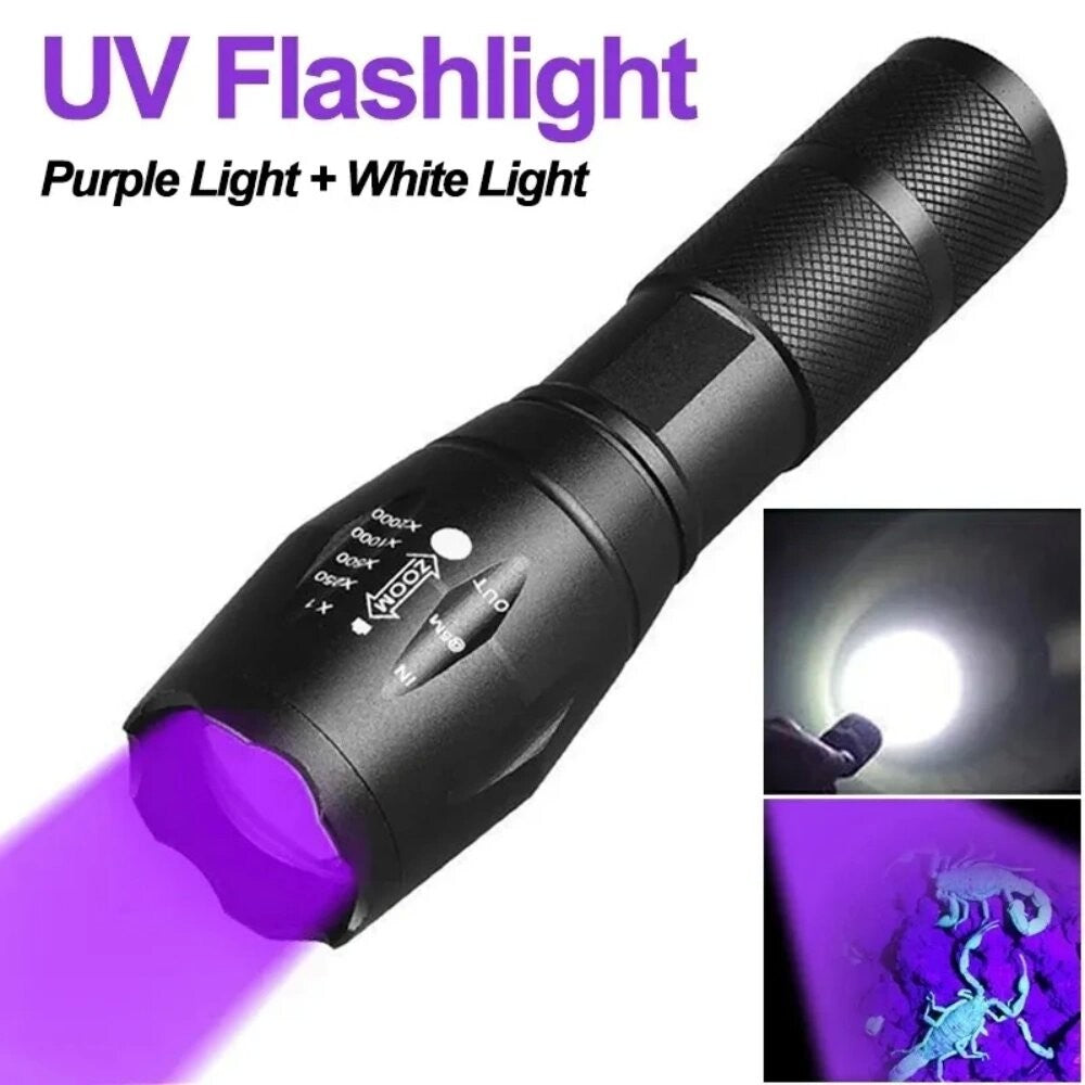 2-in-1 Type C Rechargeable UV Flashlight Torch Light 395nm Black Light Portable Ultraviolet Light Pets Blacklight Uv Flashlights
