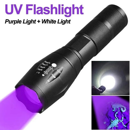 2-in-1 Type C Rechargeable UV Flashlight Torch Light 395nm Black Light Portable Ultraviolet Light Pets Blacklight Uv Flashlights