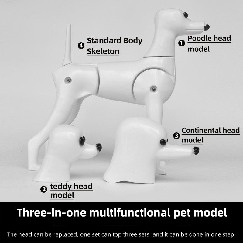 Modelo de Cachorro Falso para Tosadores Novo Modelo Três em Um Cabeça de Treinamento em Formato de Poodle Teddy Ram Cachorro de Modelo de Pelo Falso para Tosar