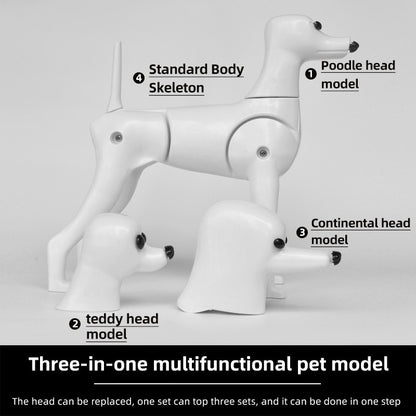 Modelo de Cachorro Falso para Tosadores Novo Modelo Três em Um Cabeça de Treinamento em Formato de Poodle Teddy Ram Cachorro de Modelo de Pelo Falso para Tosar