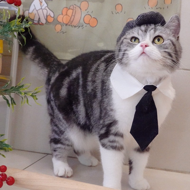 Chapéu Engraçado Para Gatos de Estimação, Boina, Gravata Borboleta, Fantasia de Banho, Gângster Bonito, Adereço de Foto, Fantasia de Halloween Para Animais de Estimação