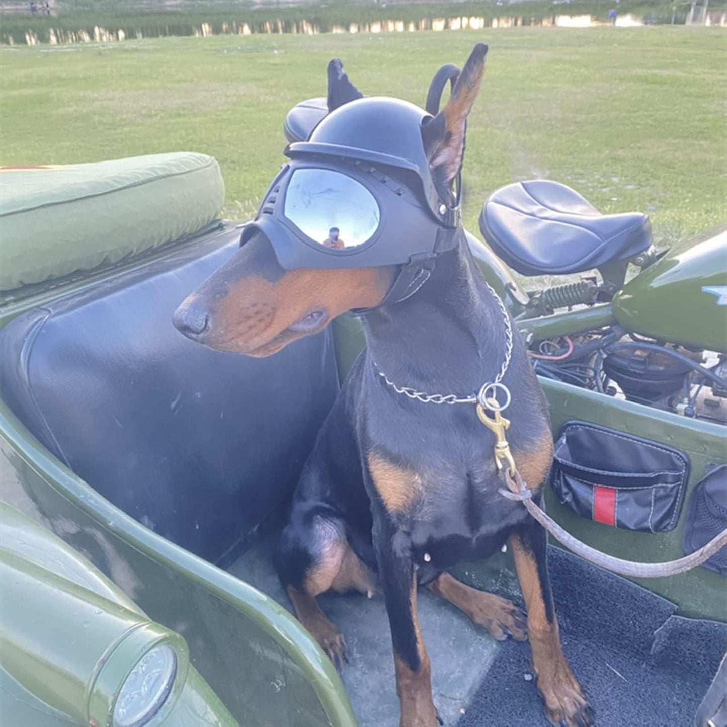 ATUBAN Capacete e Óculos de Sol para Cães Pequenos, Óculos de Proteção UV para Cães Médios, para Cães Dirigirem ao Ar Livre e Passearem