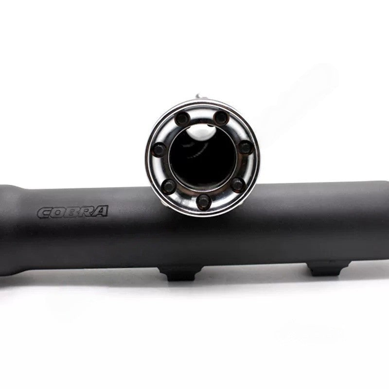 For Harley-Davidson XL883N / 1200 / X48 modification accessory - Snake exhaust pipe with deep-toned tail section