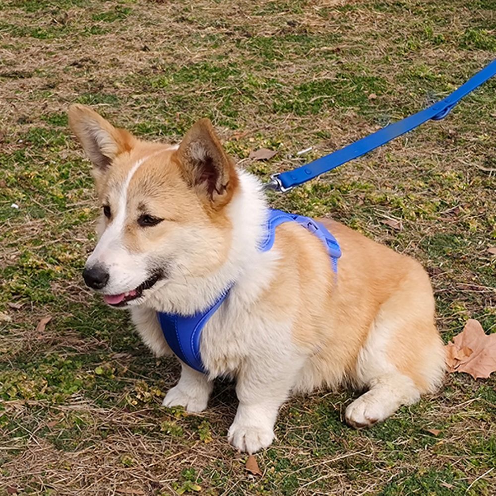 Peitoral para Cães Respirável Leve Ajustável com Alça Peitoral para Caminhada ao Ar Livre Treinamento para Cães Pequenos e Médios
