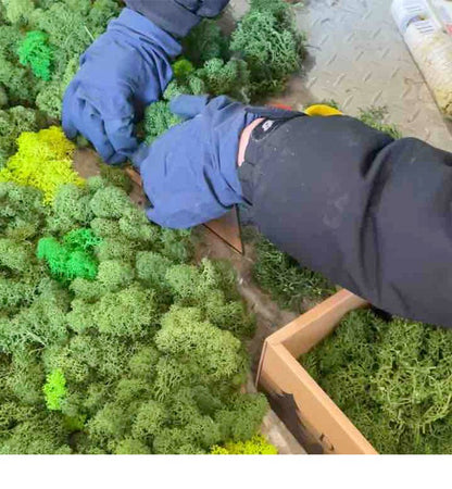 200/1000g Quality Artificial Green Plant Eternal Life Moss Fake Flower Moss Grass Home Living Decorative Wall DIY Micro Landscap