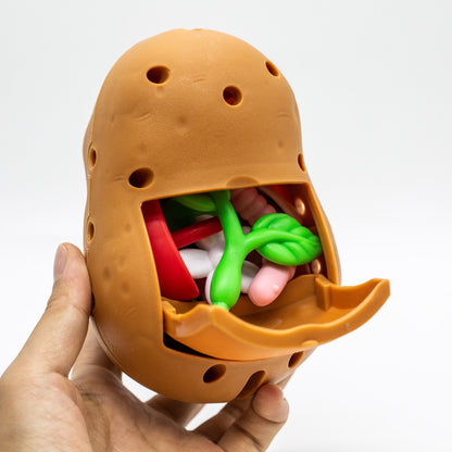 Hasbro Playskool Friends Mr Sra Cabeça de Batata Boneco de Ação com Plantas Montado Brinquedo de História de Boneca para Crianças Presente Enfeites