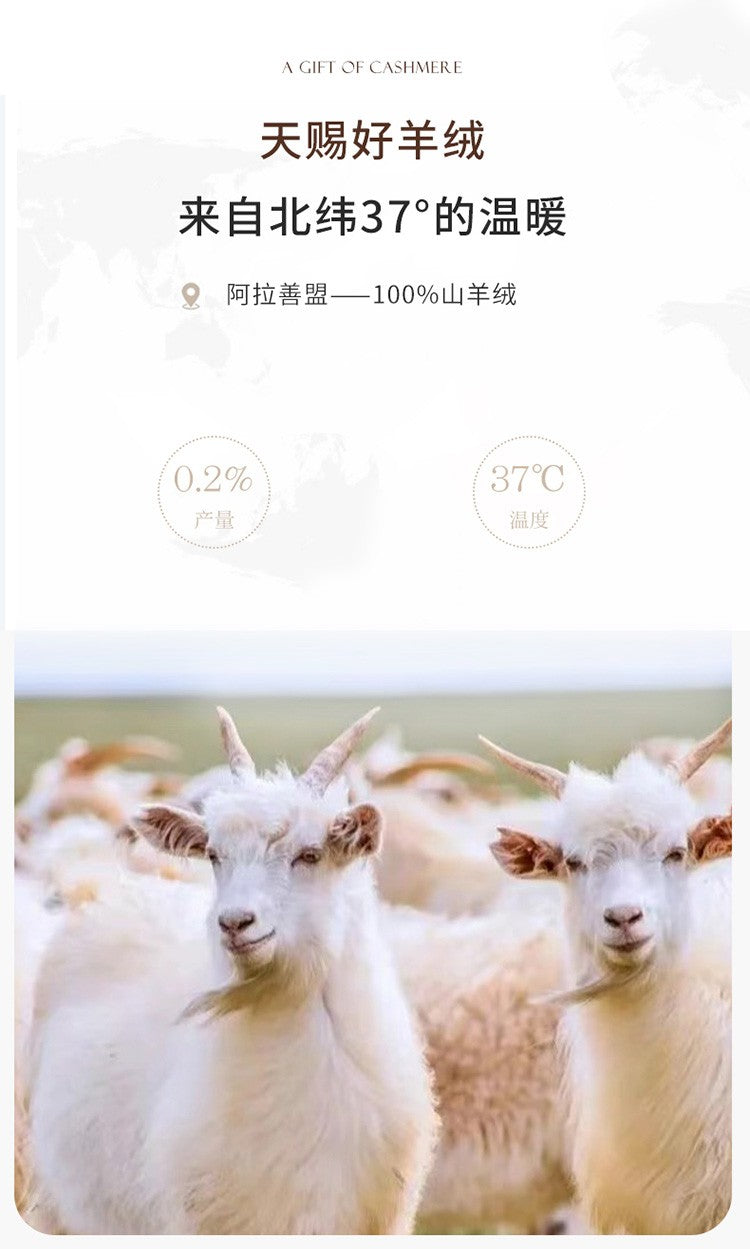 Autumn and winter new women's 100% pure cashmere semi high neck pullover sweater knitted slim fit hot selling women's top