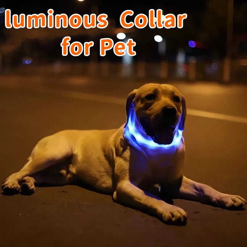 Coleira LED para Cães para Segurança Noturna Coleira Brilhante Recarregável para Pets com 3 Modos Alta Visibilidade para Gatos e Cães em Passeios Noturnos