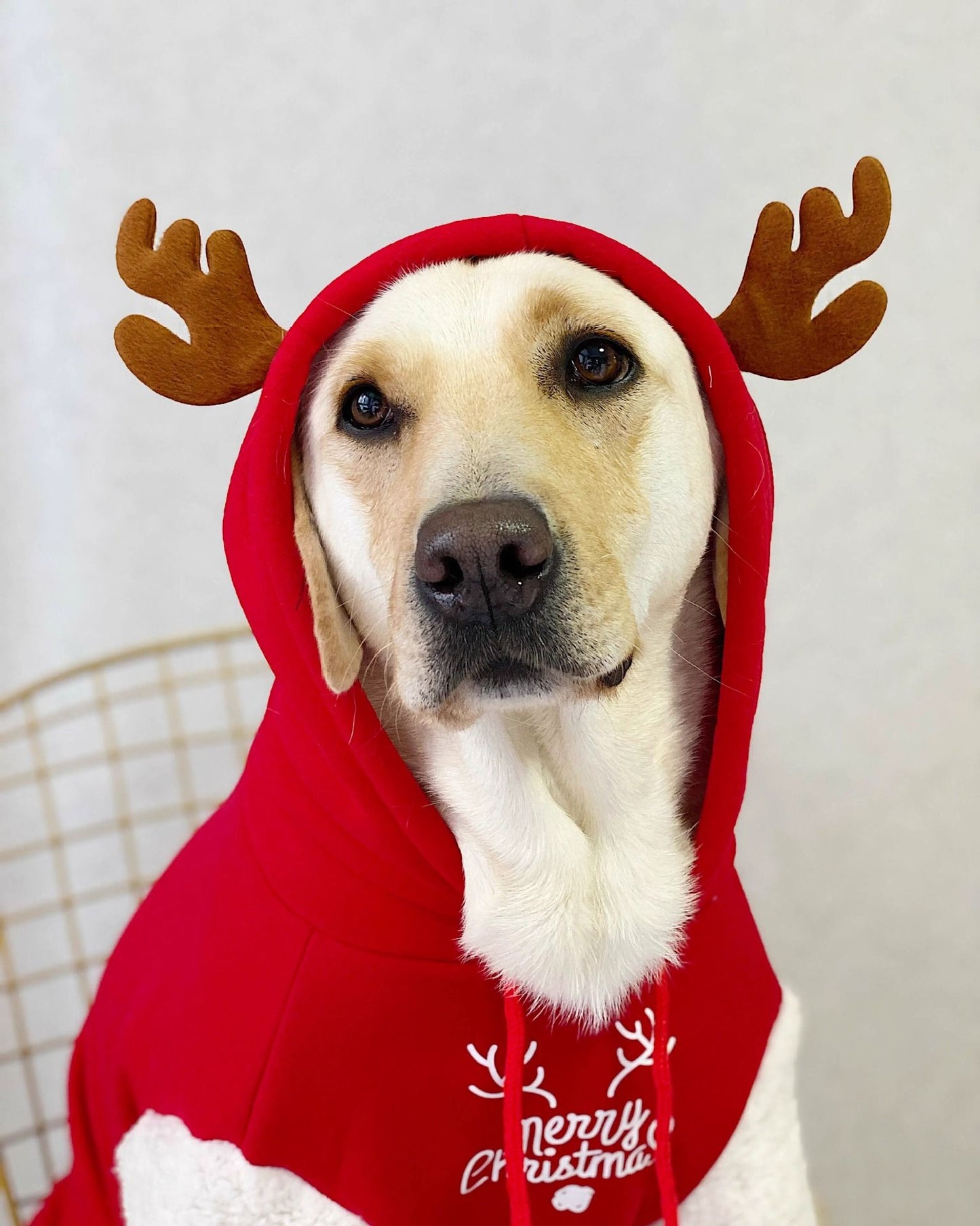 Roupa de Cachorro Pet Inverno Quente Algodão Fleece Moletom Filhote de Cervo Natal Cães Grandes Golden Retriever Labrador