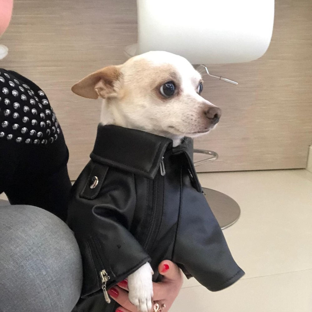 Casaco de Cachorro Padrão Águia Gloriosa Jaqueta de Couro PU Macio Impermeável para Exterior Roupas da Moda para Cães Pequenos (XXS-XXL)