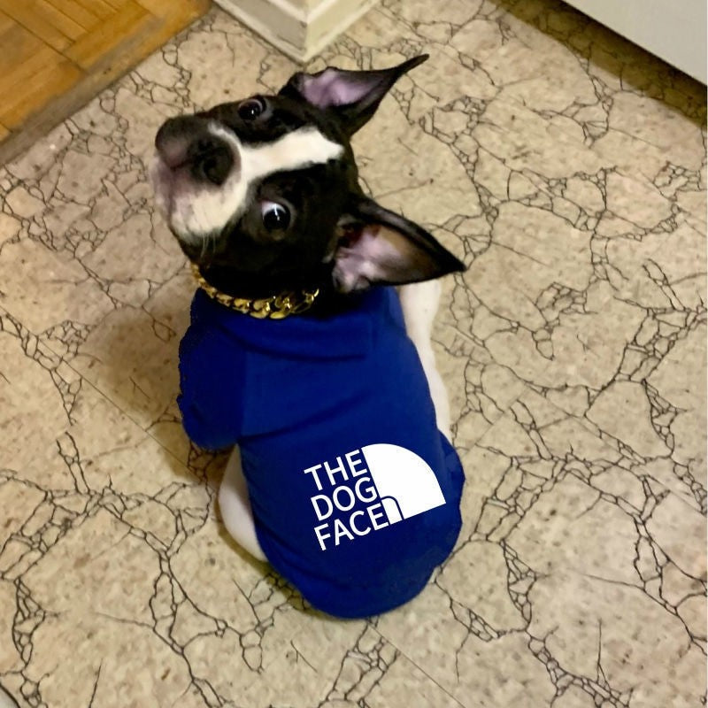 Casaco com Capuz para Animais de Estimação Moletom Macacão de Cachorro Roupa Outono Inverno Quente Cão Grande Pequeno Corgi Border Collie Fadou