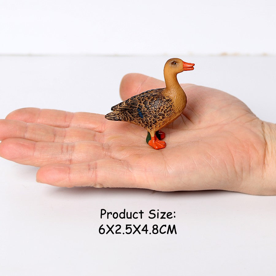 Coruja Flamingo Peru Tucano Seahawk Modelo Animais Estatuetas Plástico Pássaro Brinquedo Boneco de Ação Aventuras na Selva Presentes para Crianças Zoológico da Floresta