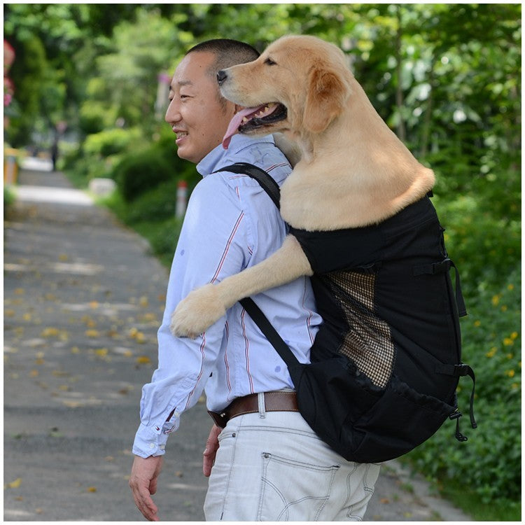 Mochila de Transporte para Cães de Estimação para Caminhada, Viagem, Ventilação Externa, Respirável, Bicicleta, Motocicleta, Esportes ao Ar Livre, Bolsa de Malha, Drop Shipping