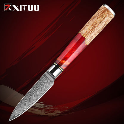 XITUO Conjunto de Facas de Cozinha de Aço Damasco de 1 a 9 Peças Inclui Faca do Chefe, Faca de Pão, Cutelo, Faca Santoku, Faca Nakiri para Desossar