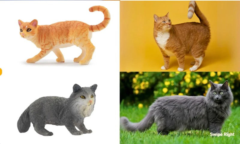 Toymany 8Pcs Grey & Orange Cat Figures, Simulation Pet Animal Model Toys for Kids Children Gift Set, Mini Collectible