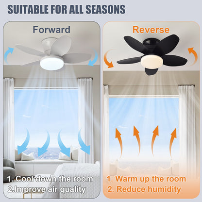 Simple LED ceiling fan remote control light for 25 inch living room and bedroom multifunctional ceiling fans