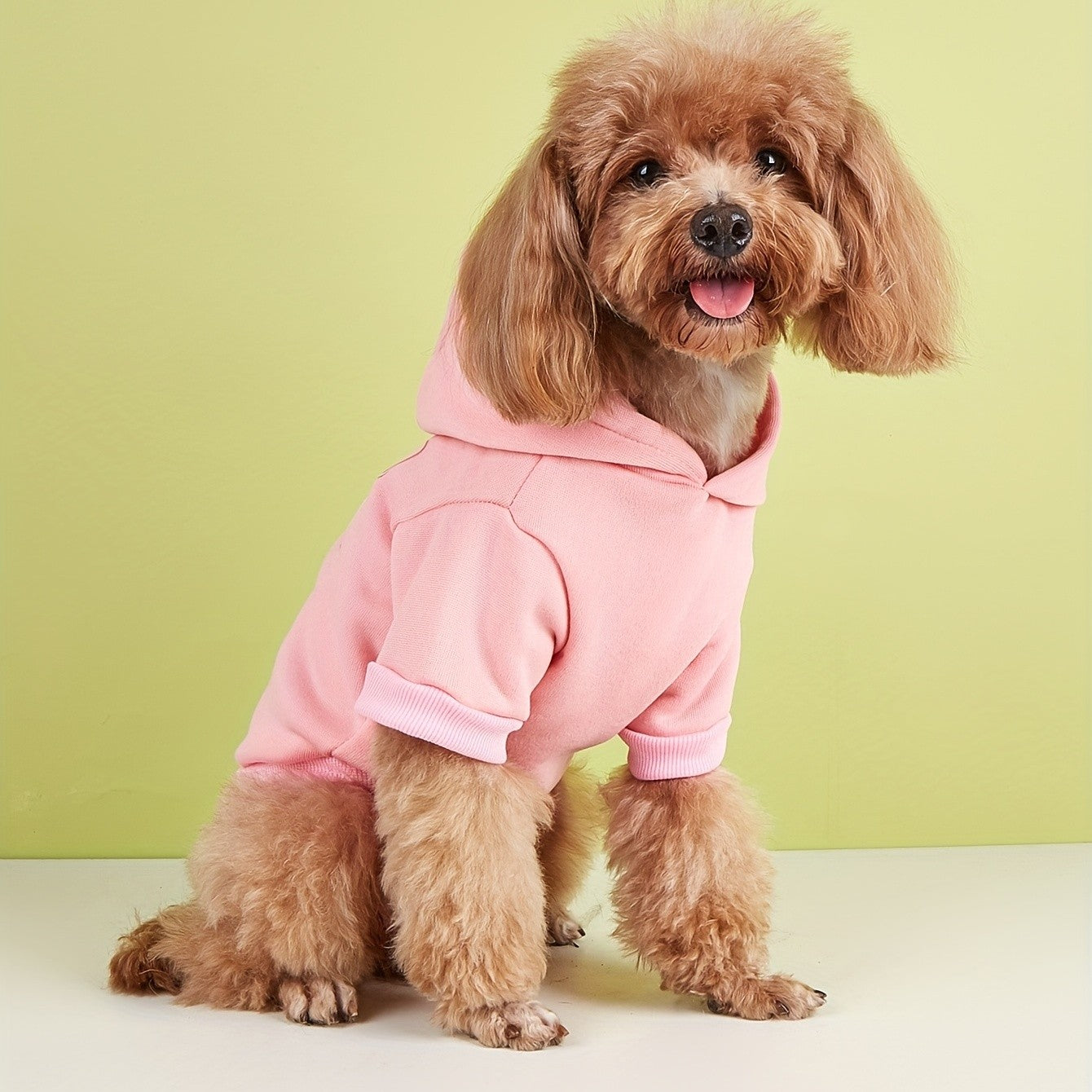 Roupas para pets: cães, gatos, moletons com capuz, quentes e confortáveis com veludo, roupas estampadas, simples e generosas