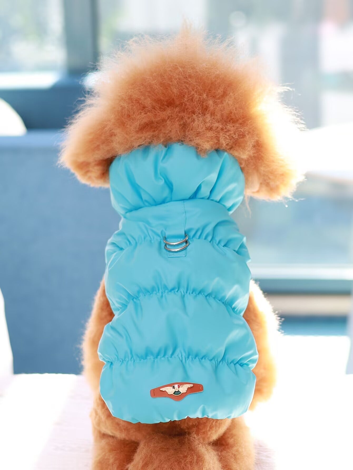 Jaqueta para Cães para Outono/Inverno, Casaco para Pets, Agasalho Quente e Grosso de 3 Camadas, Adequado para Cães Pequenos a Médios como Poodle, Teddy, York