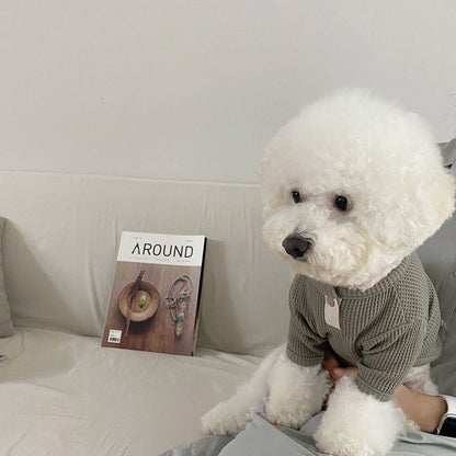 Roupas Finas para Cães, Moletom Sólido para Animais de Estimação, Moletons para Cães, Moda para Gatos Filhotes, Camisetas, Roupas de Chihuahua, Colete Yorkie Bichon, Camisa de Fantasia para Cães