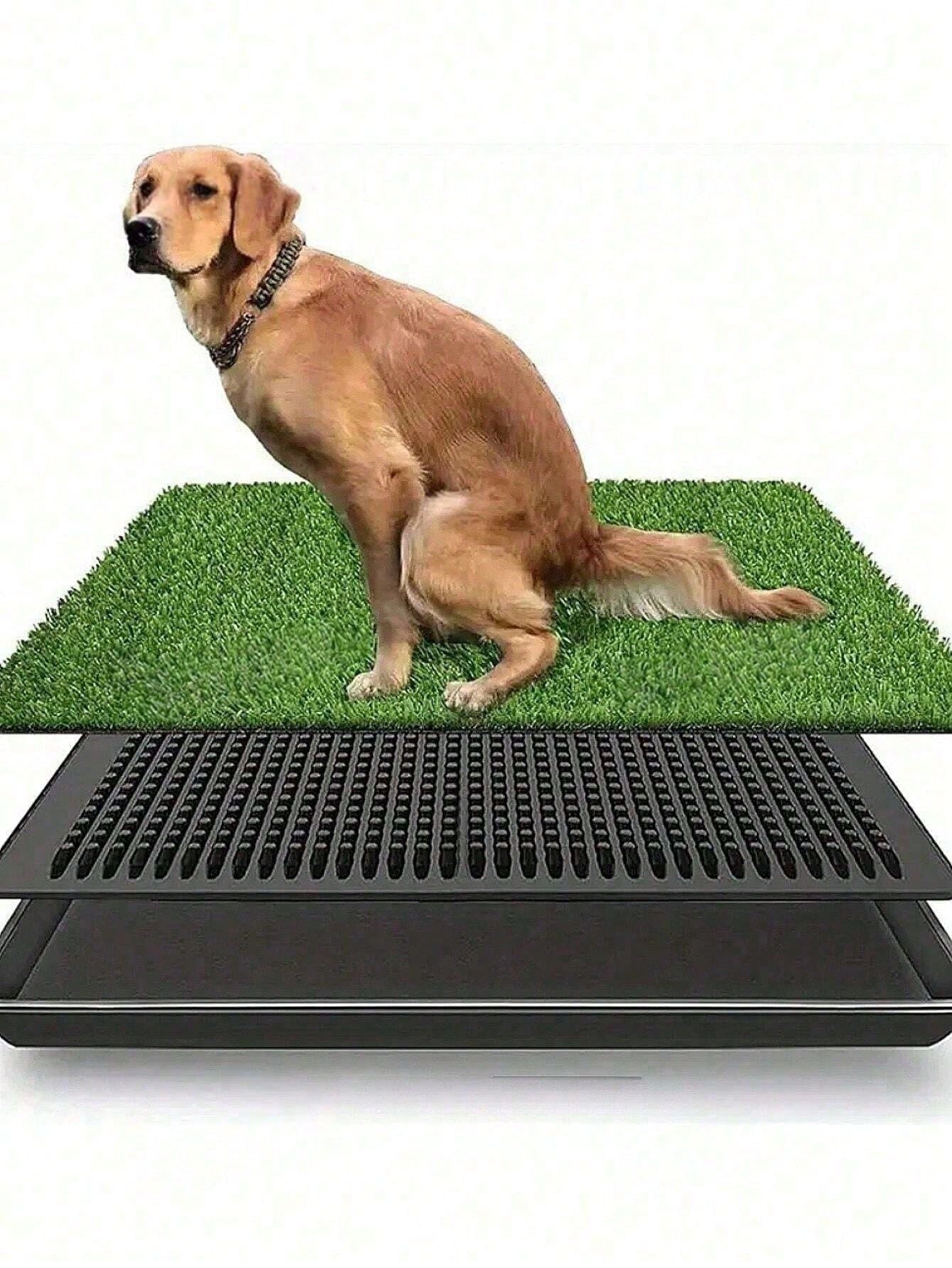 Tapete de Grama Sintética Higiênico para Cães: Antiderrapante, Resistente a Odores, Fácil de Limpar para Treinamento Interno/Externo