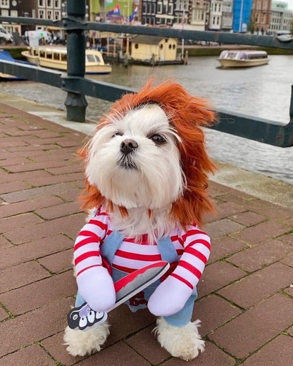 Fantasia de Halloween para Pets Vestido para Cães Pequenos e Médios – Roupa Divertida e Estilosa para Cães Gatos Brincarem com Roupas Engraçadas