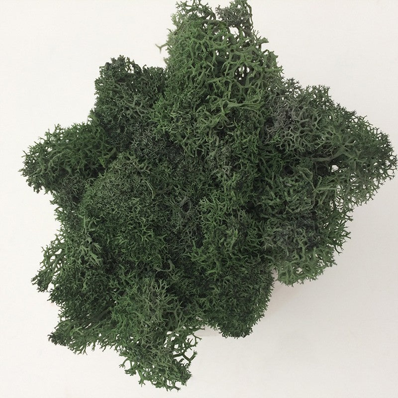 200/1000g Quality Artificial Green Plant Eternal Life Moss Fake Flower Moss Grass Home Living Decorative Wall DIY Micro Landscap
