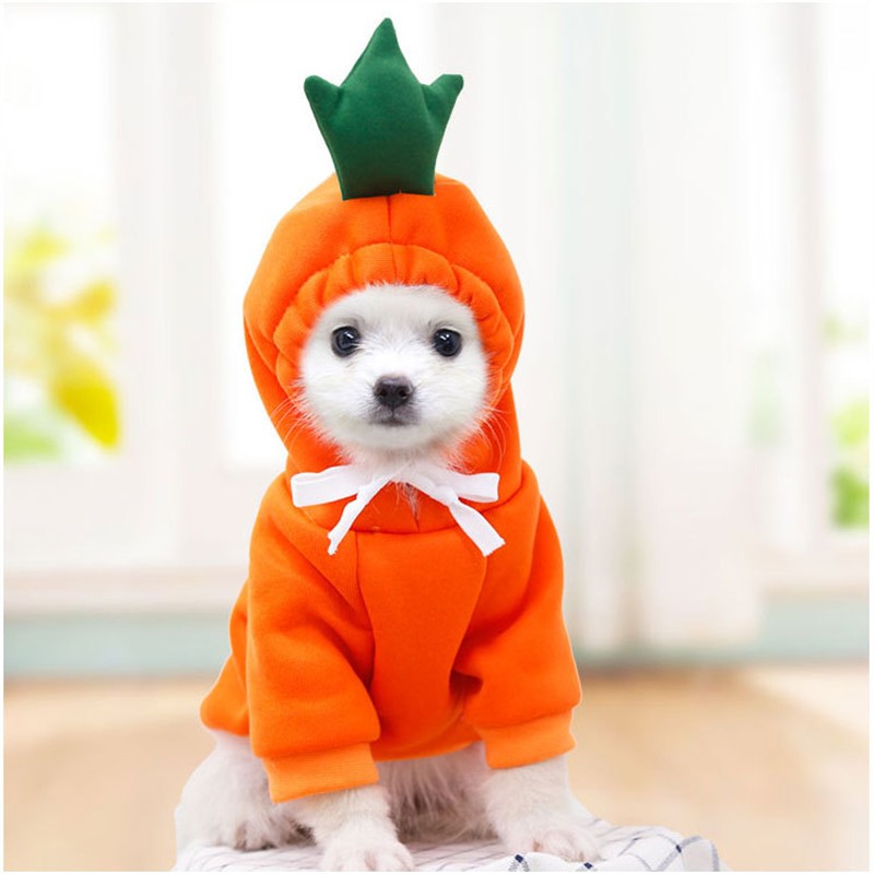 Roupas para Pets Cachorros Moletom com Capuz Fruta Casaco Quente Gato Suéter Fantasia de Inverno para Filhotes Cães de Pequeno Médio Grande Porte e Gatos