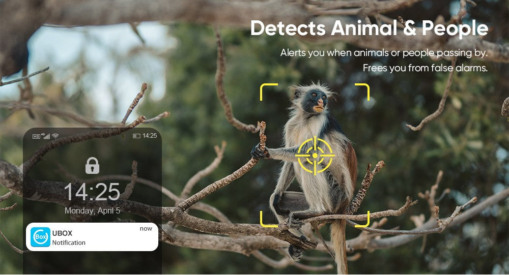 LS VISION 4G /WFII Solar Security Cameras Wireless Outdoor  2K HD Video Surveillance Color Night Vision Human/Animal Detection