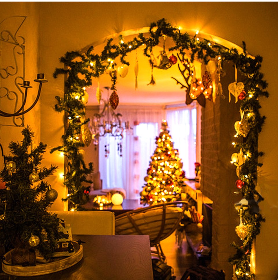 220V LEDs Twinkling Fairy Lights String 1/2/3Packs Holiday Christmas Tree Lawn Night Party Decorative Light Only EU Power Plug