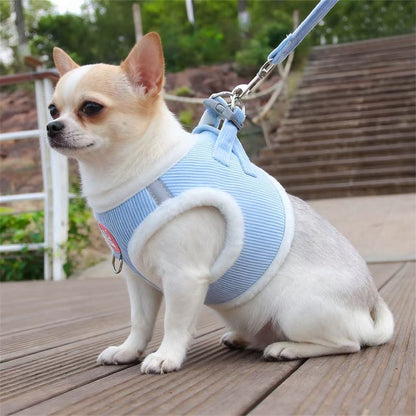 Colete Peitoral de Inverno Quente para Cães Chihuahua com Pelo, Conjunto de Colete Peitoral e Guia para Cães Pequenos, Filhotes, Yorkies, Acessórios para Mascotes