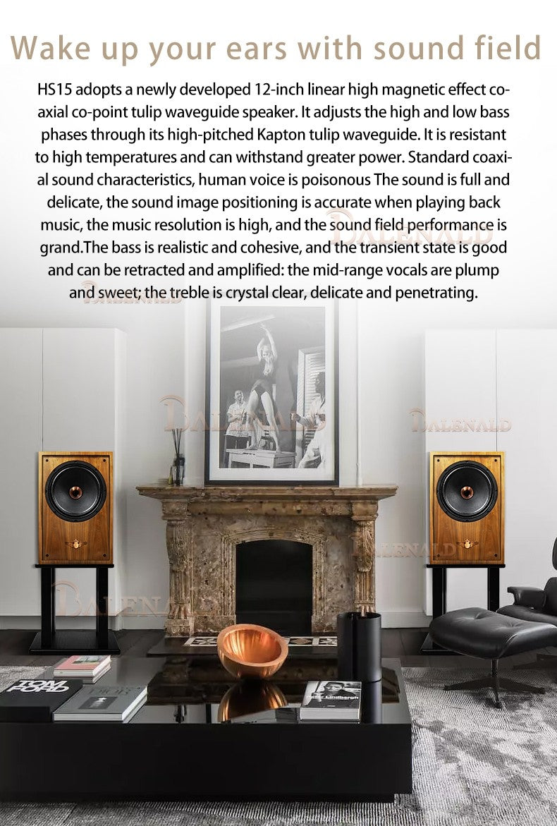 Caixas de som hifi Banlong de alta fidelidade coaxial de 12 polegadas, bookshelf, caixas de som de alta fidelidade, áudio passivo com acabamento em madeira.