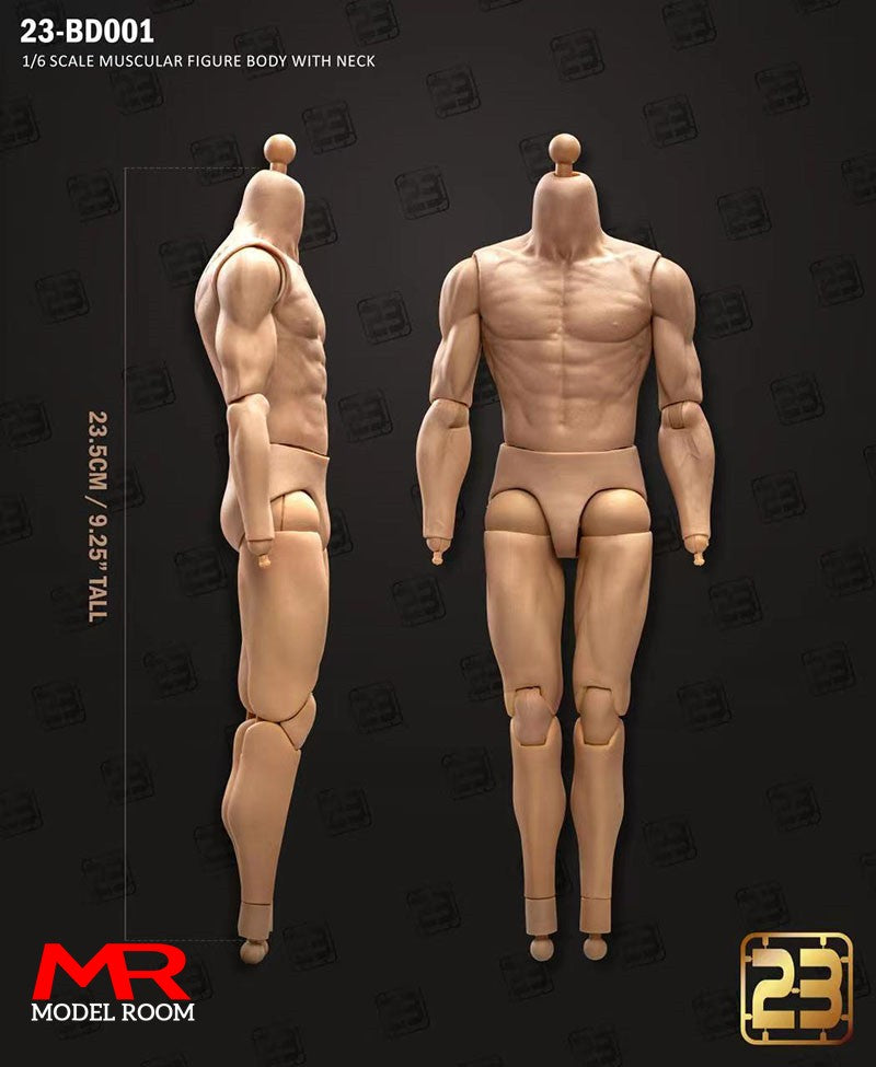 23TOYS 23-BD001 1/6 Scale Male Soldier Joint Body 23.5cm - 27.5cm Male Standard Muscle Action Figure Articulate Body