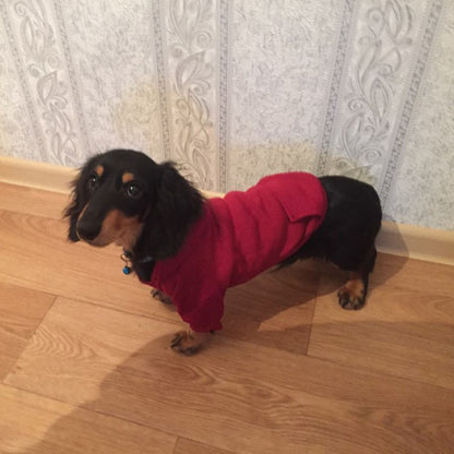 Moletons Sólidos para Cães Roupas para Pets Pequenos Casacos Jaquetas Moletom para Chihuahua Fantasia de Gato Roupinhas de Algodão para Pets