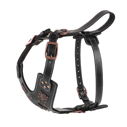 Coleira de Couro Genuíno para Cães, Arnês Durável para Cães Grandes, Coleiras Rebited para Treinamento de Animais de Estimação com Acessórios de Metal para Cães de Médio e Grande Porte