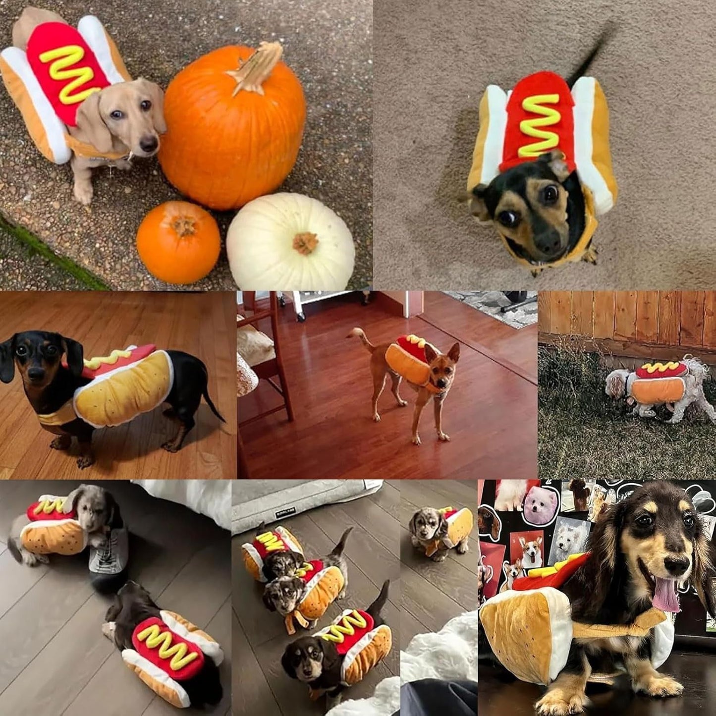 Fantasia Divertida de Cachorro de Halloween em Formato de Cachorro-Quente para Dachshund Salsicha Roupa Ajustável de Estimação Acessório para Vestir Gato Fantasia de Festa